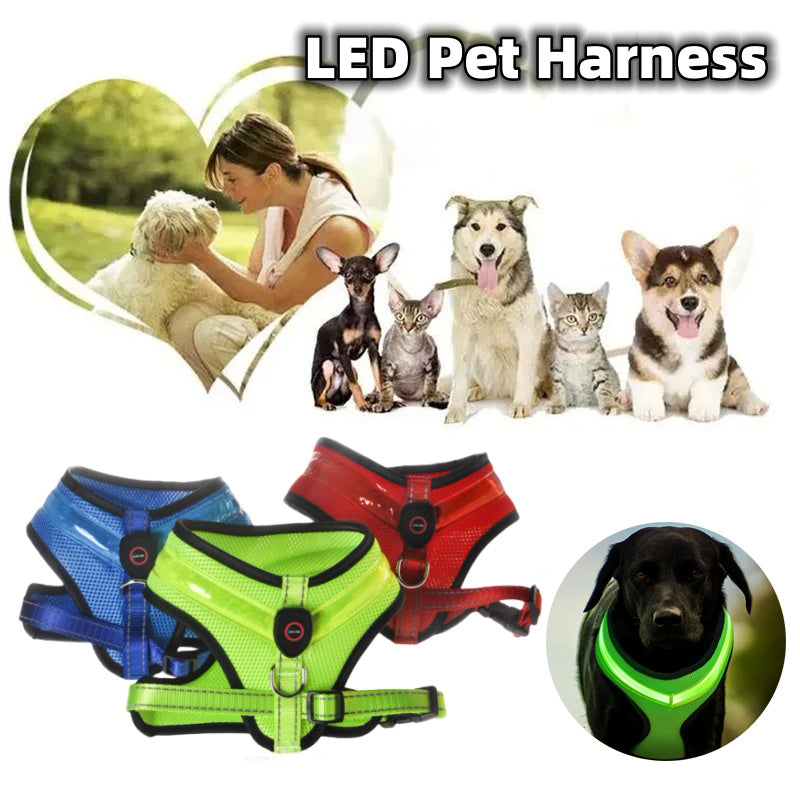 LED Luminous Dog Harness Led USB Charging Dog Chest Strap Vest - Outlitte