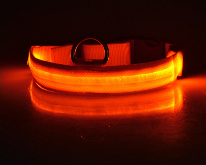 LED Pet Dog Luminous Collar Night Safety Flashing Glow in Dark Dog Cat Leash Adjustable Pet Supplies - Outlitte