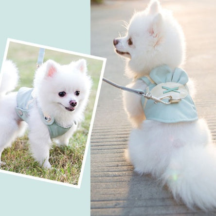 Cute Pet Dog Harness Leash Set - Outlitte