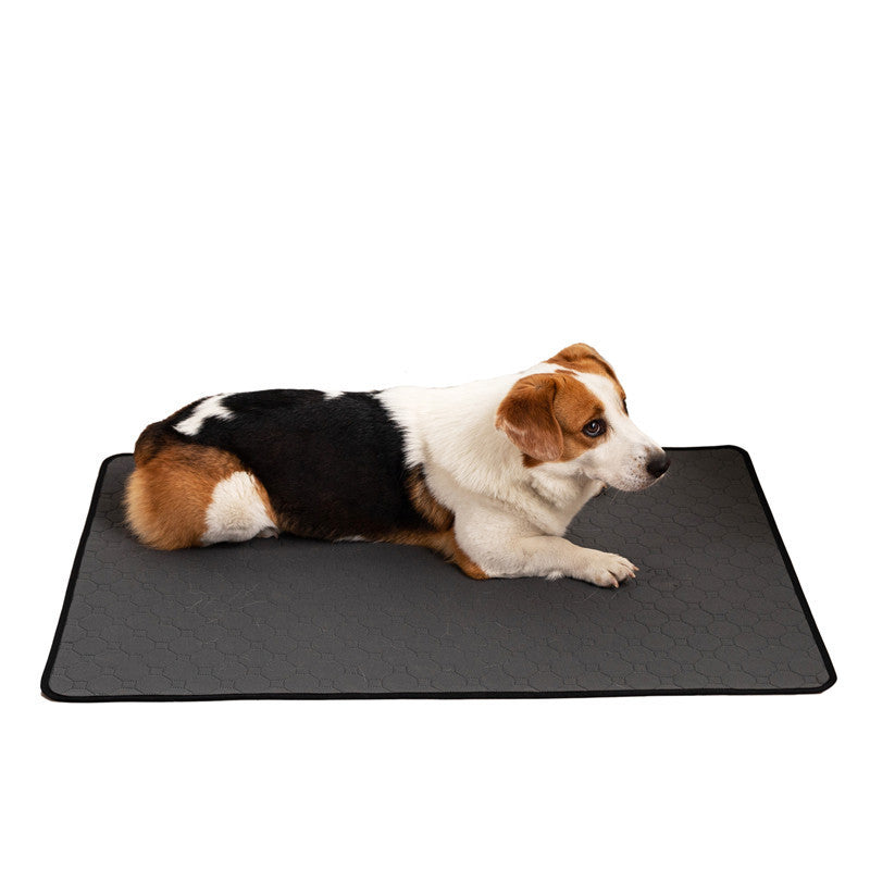 Pets Between The Pad Repeated Water Absorption Dog - Outlitte