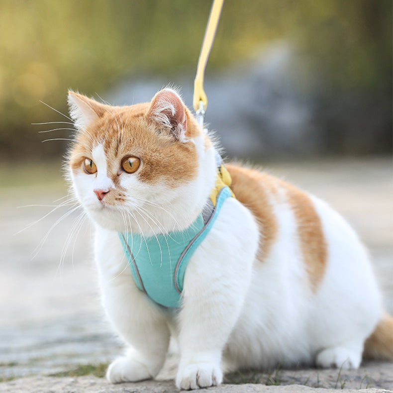 Cat Traction Rope Home Vest-Style Chest Harness - Outlitte