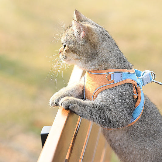 Cat Traction Rope Home Vest-Style Chest Harness - Outlitte