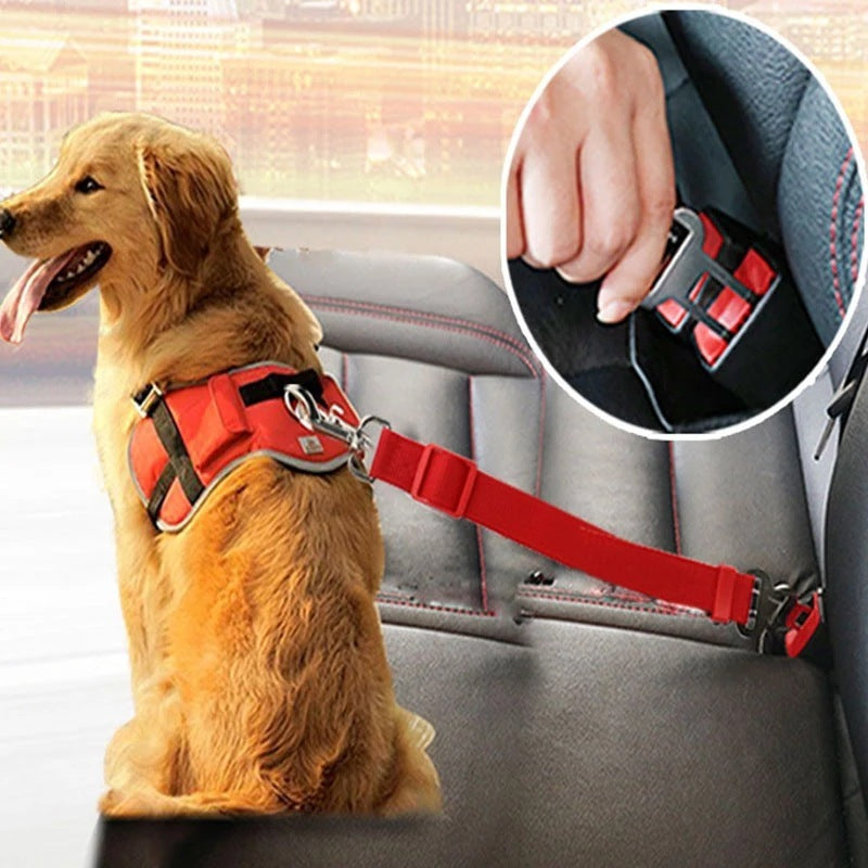 Adjustable Pet Cat Dog Car Seat Belt Pet Seat Vehicle Dog Harness - Outlitte