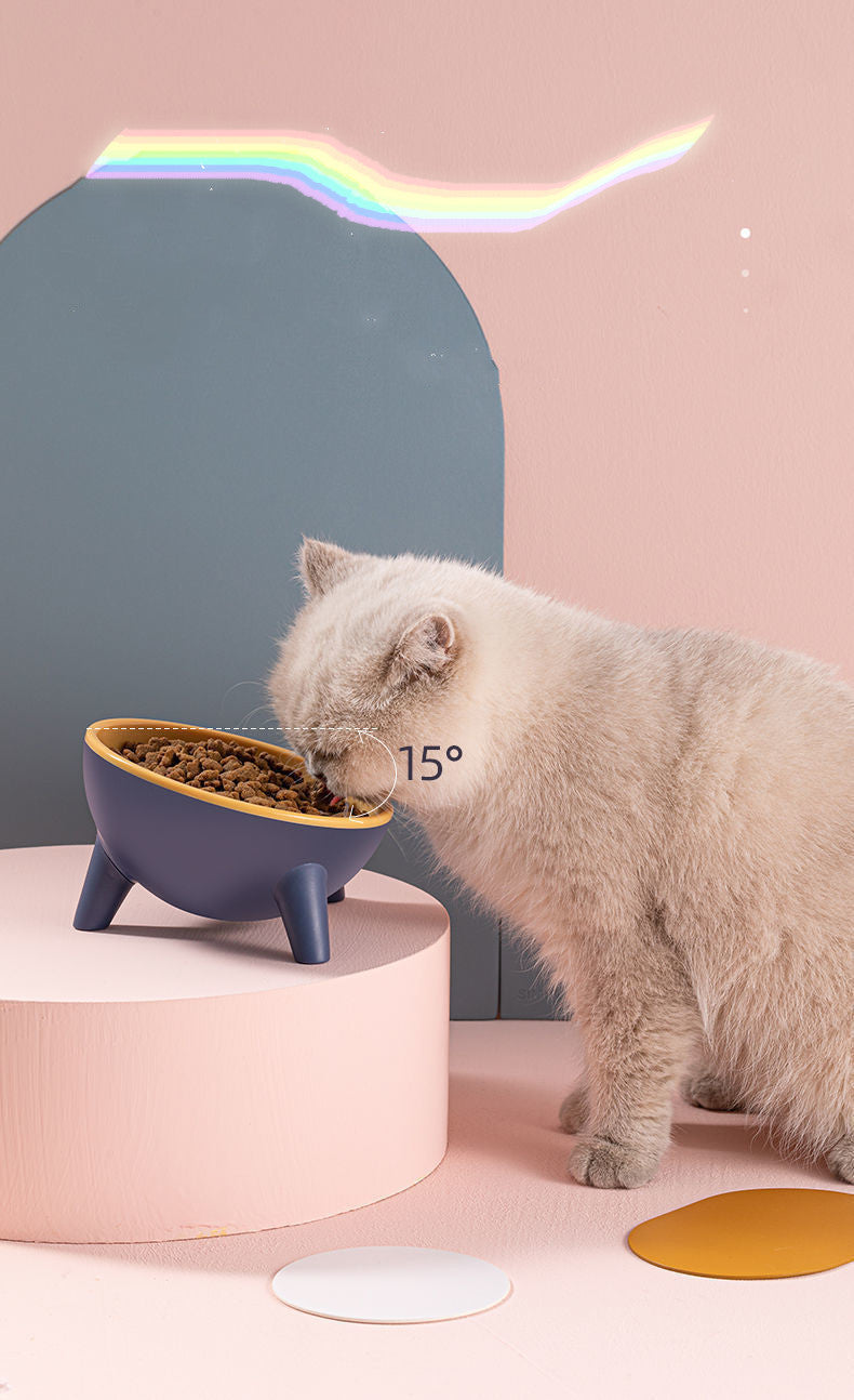 Cat Dog Bowl With Stand Pet Feeding Food Bowls - Outlitte