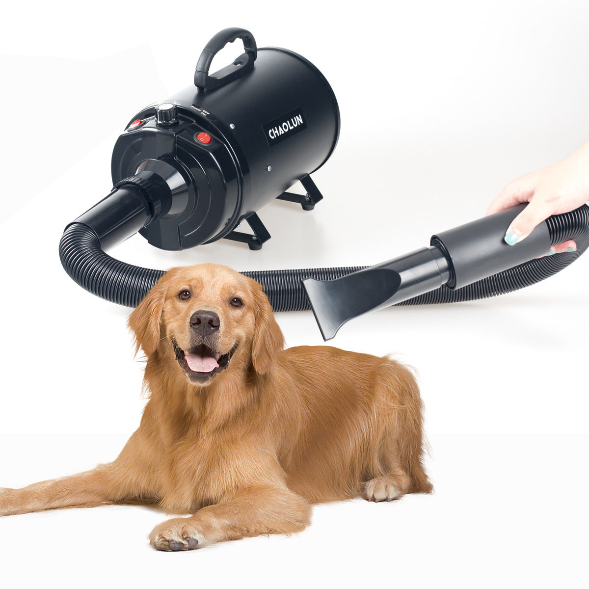 Pet Hairdryer High Power Mute Drying and Blowing Artifact - Outlitte