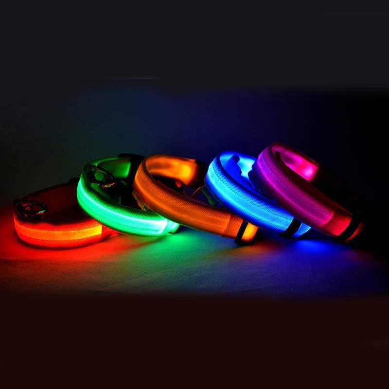 LED Pet Dog Luminous Collar Night Safety Flashing Glow in Dark Dog Cat Leash Adjustable Pet Supplies - Outlitte