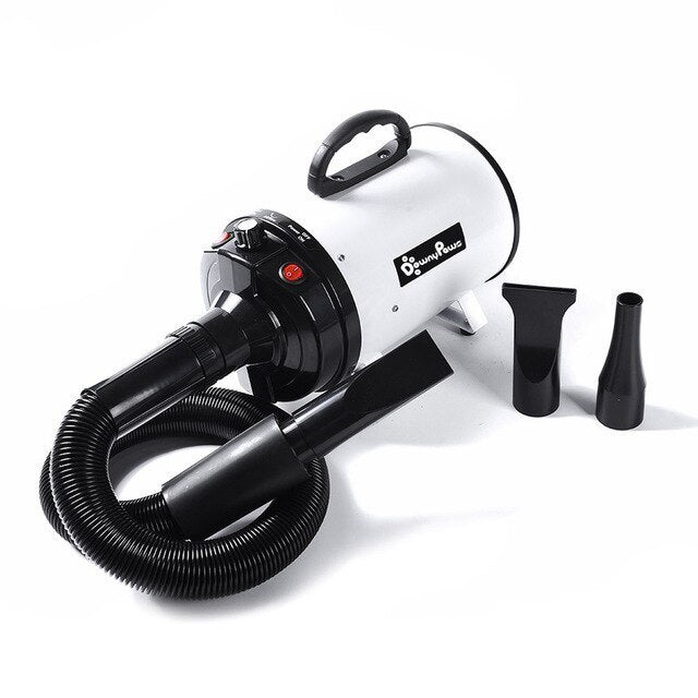 Pet Hairdryer High Power Mute Drying and Blowing Artifact - Outlitte