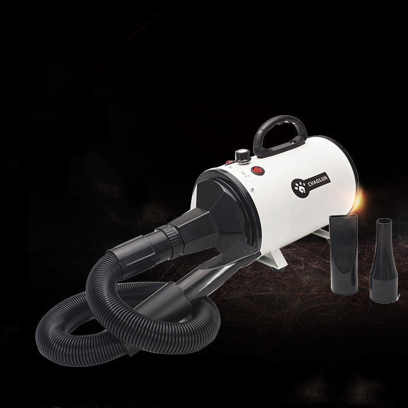 Pet Hairdryer High Power Mute Drying and Blowing Artifact - Outlitte