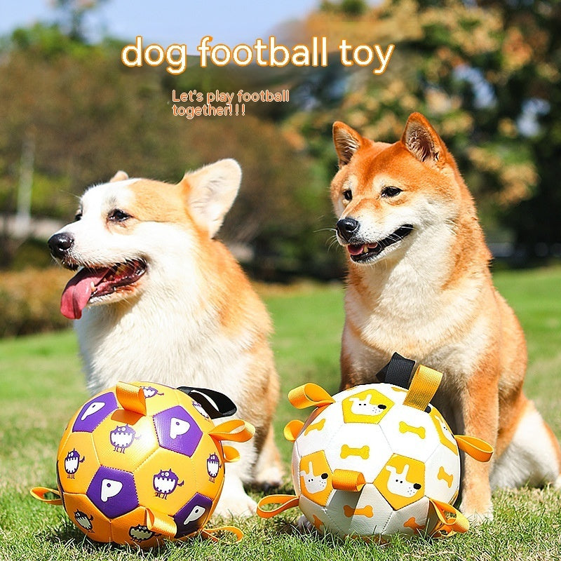 Dog Interactive Football Toys - Outlitte