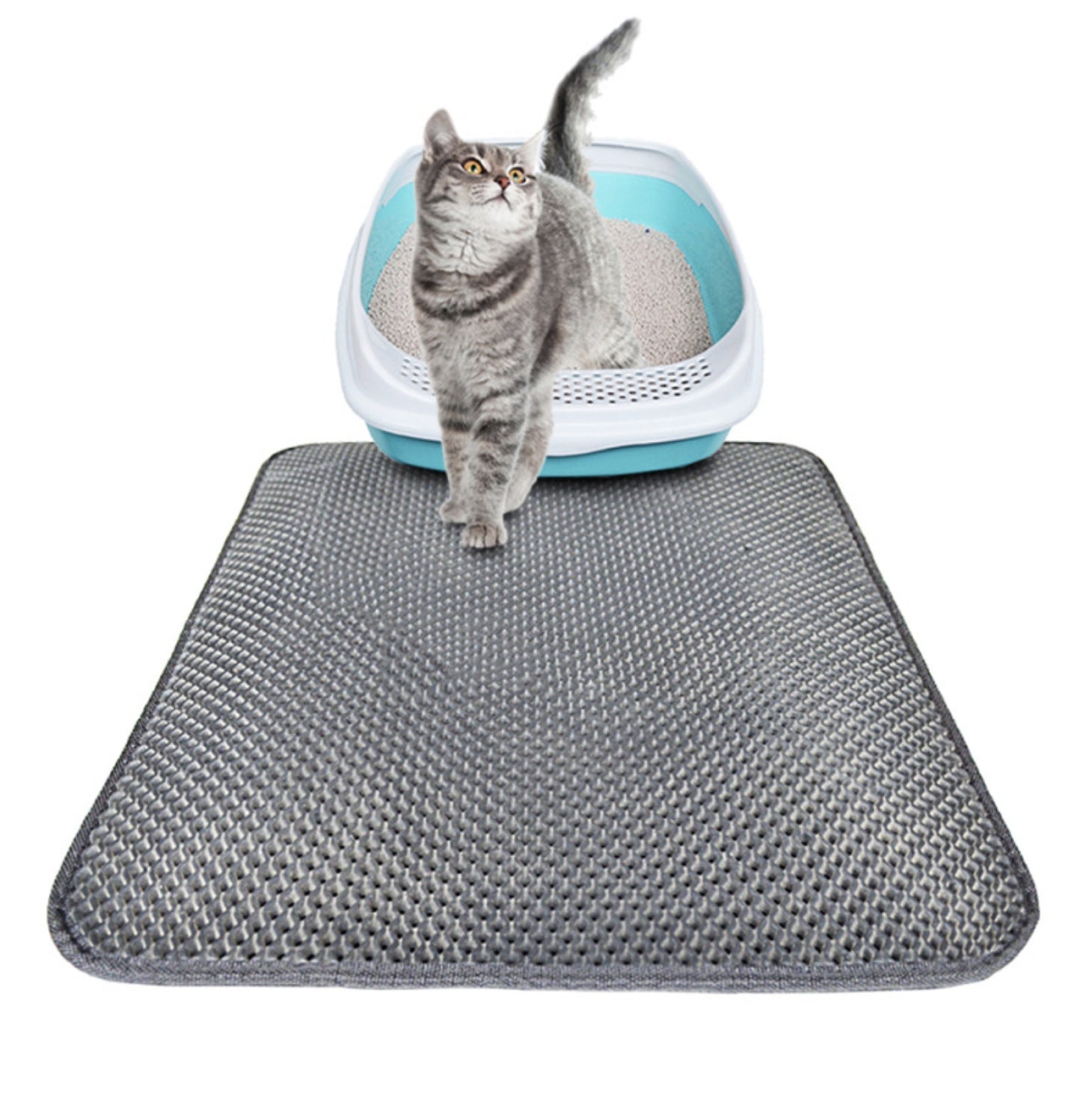 Double Layer Litter Cat Bed Pads Pet Cat Litter Mat - Outlitte