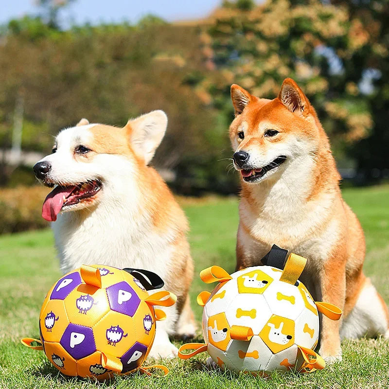 Dog Interactive Football Toys - Outlitte