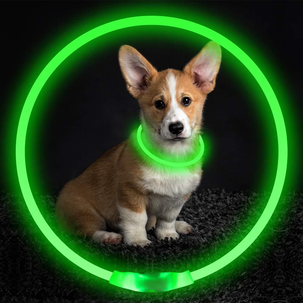 Pet Flashing Collar USB Rechargeable Glowing Necklace Safety Collar Light Up Collars For Night Walking Electric Dog Collar Neon - Outlitte