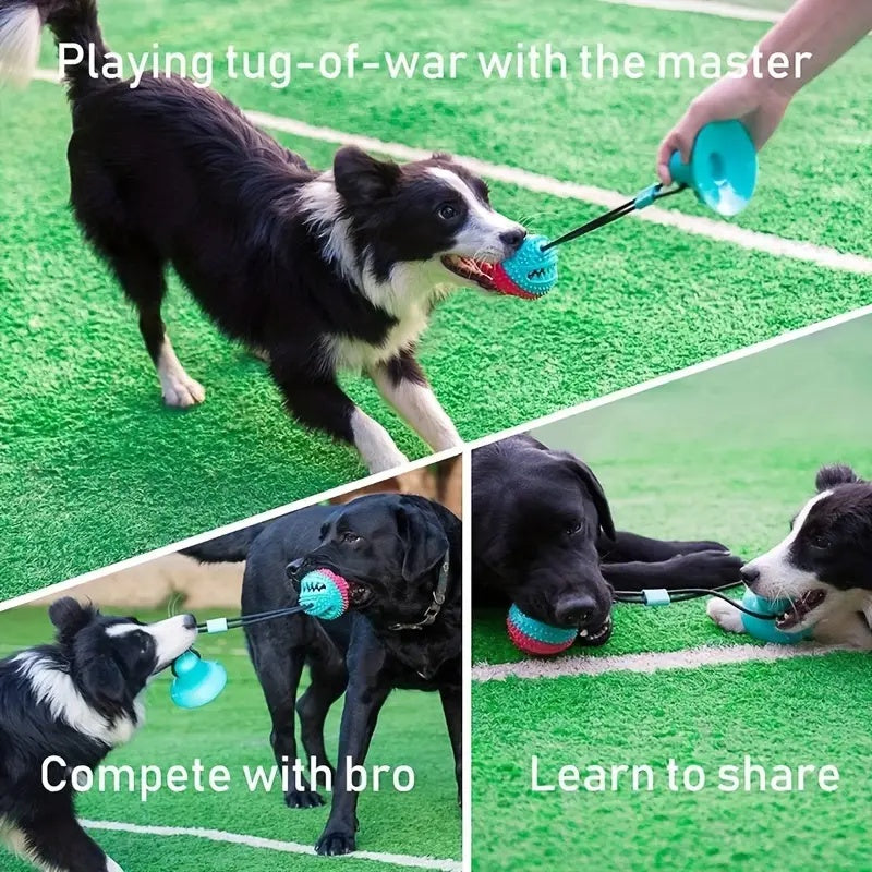 Interactive Tug-of-War Dog Toy - Outlitte