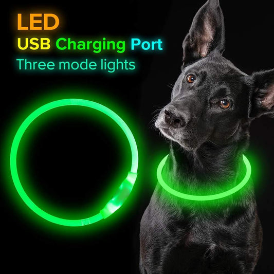 Pet Flashing Collar USB Rechargeable Glowing Necklace Safety Collar Light Up Collars For Night Walking Electric Dog Collar Neon - Outlitte