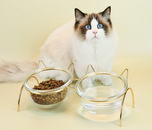 Glass Cat Bowl Drinking Dish Feeder For Pet - Outlitte