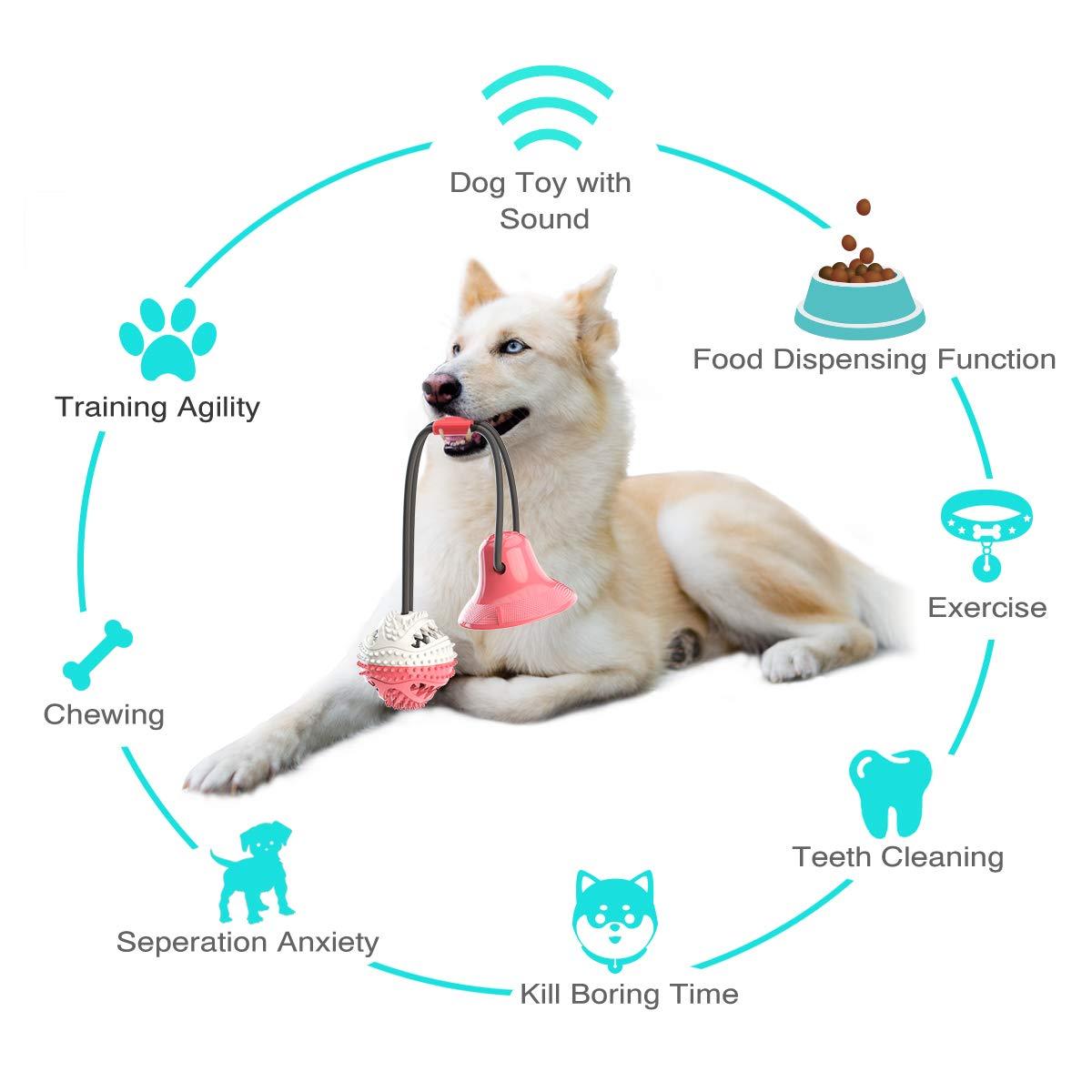 Interactive Tug-of-War Dog Toy - Outlitte