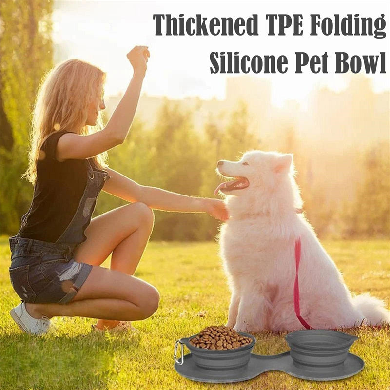 Rubber Foldable Double Bowl Pet Feeding Bowl - Outlitte