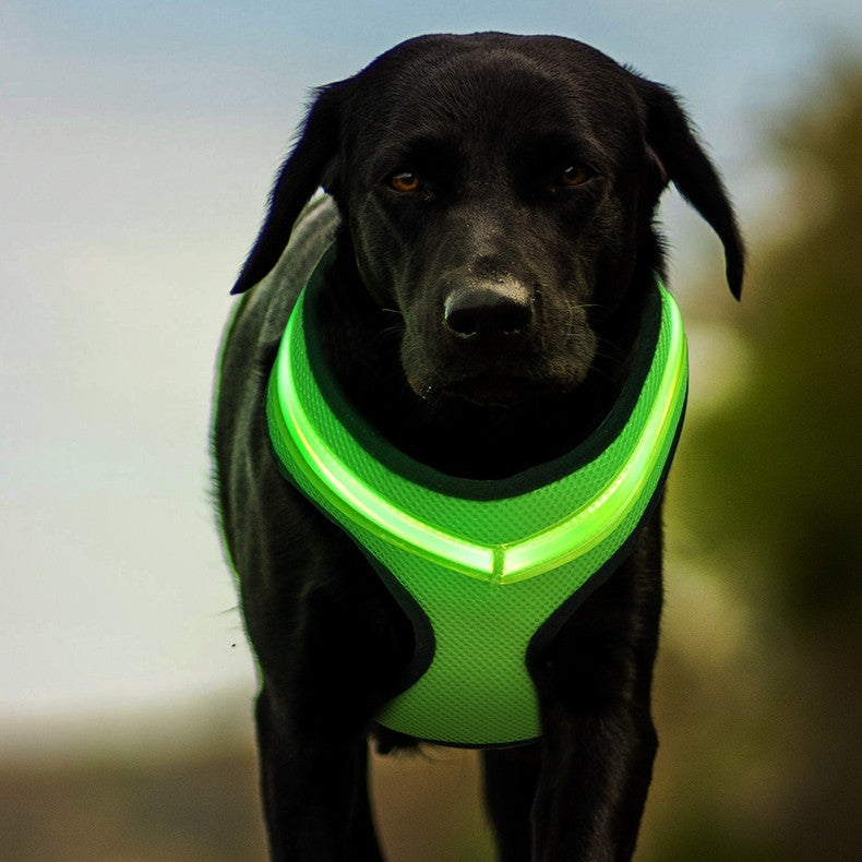 LED Luminous Dog Harness Led USB Charging Dog Chest Strap Vest - Outlitte