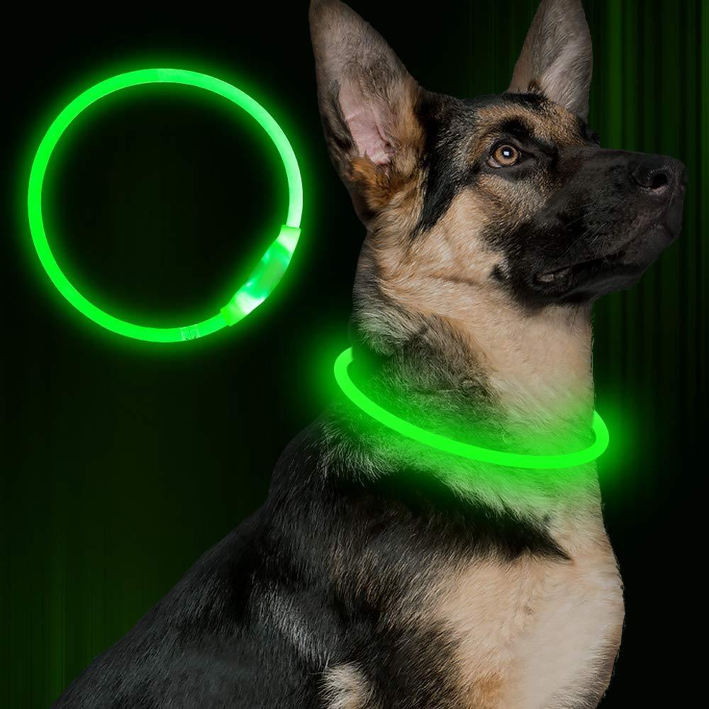 Pet Flashing Collar USB Rechargeable Glowing Necklace Safety Collar Light Up Collars For Night Walking Electric Dog Collar Neon - Outlitte