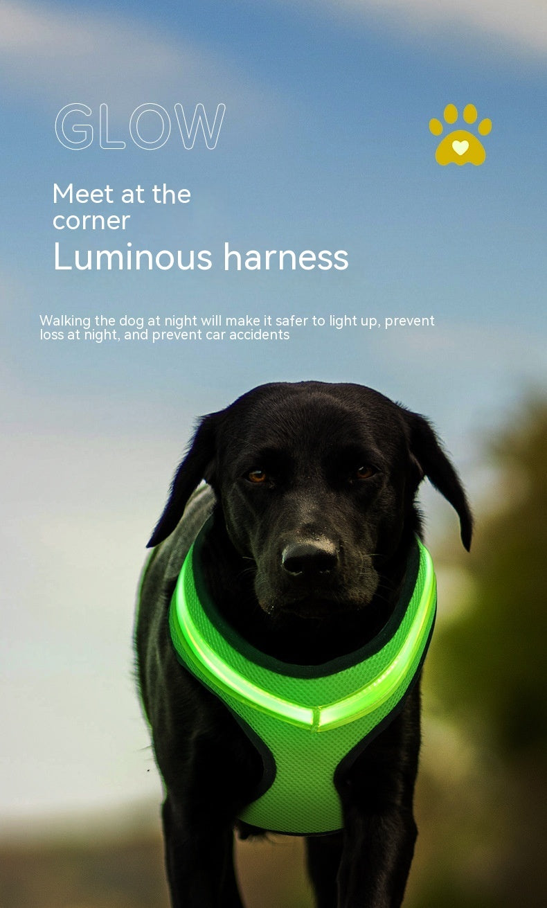 LED Luminous Dog Harness Led USB Charging Dog Chest Strap Vest - Outlitte