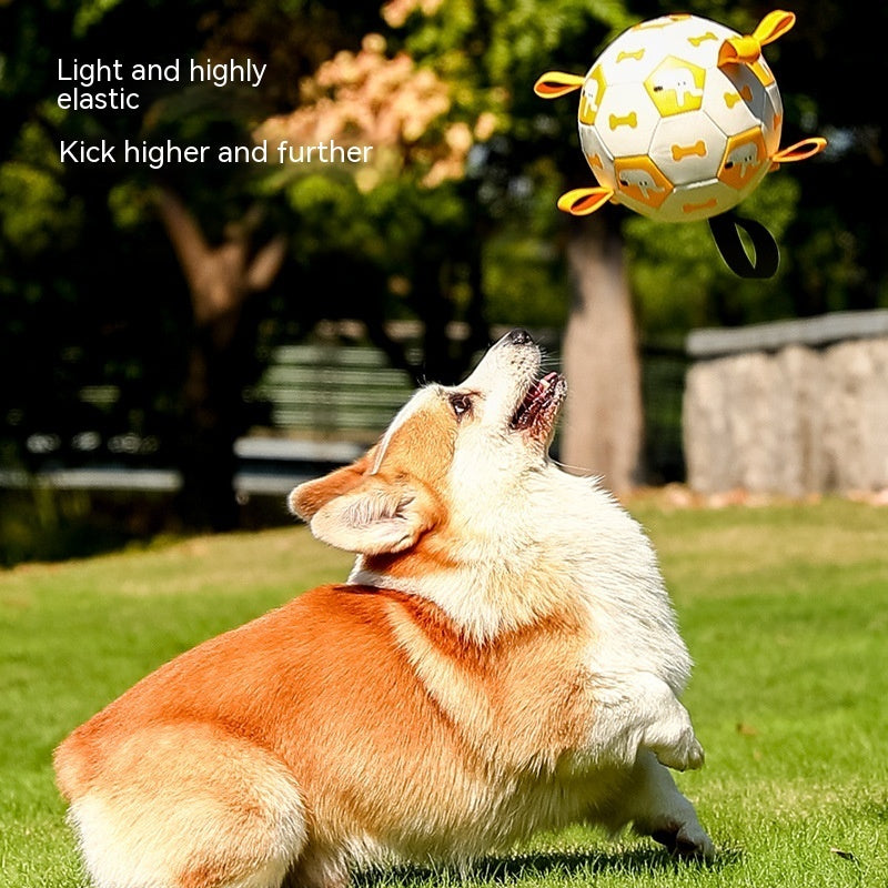 Dog Interactive Football Toys - Outlitte