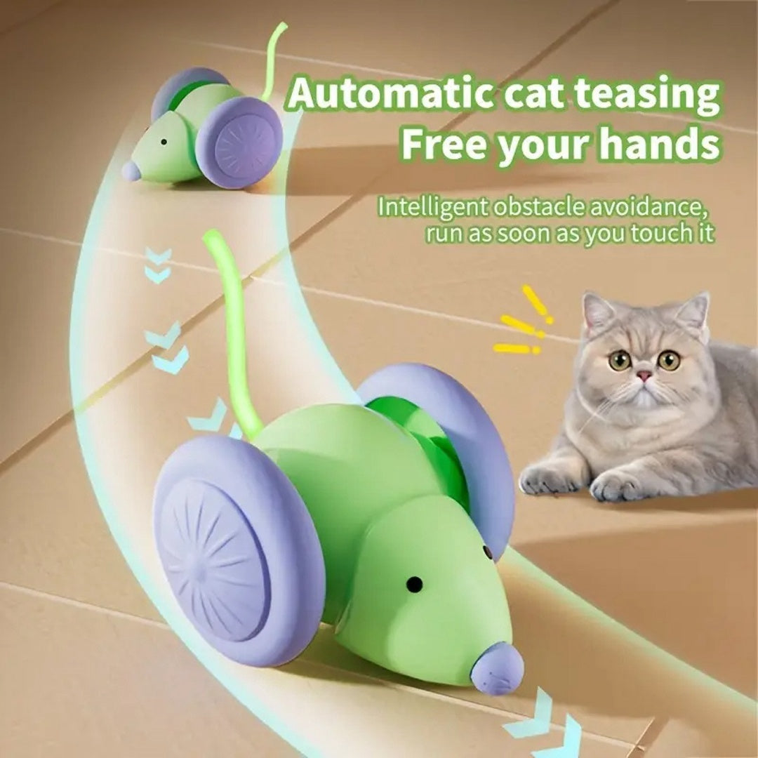 Electric Mouse Car - Automatic Interactive Cat Toy - Outlitte